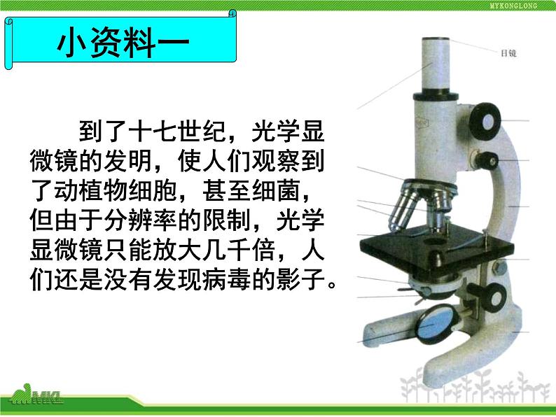 人教版八年级生物上册 5.5 病毒 课件第5页