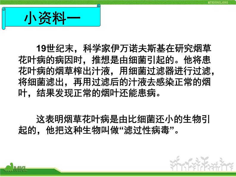 人教版八年级生物上册 5.5 病毒 课件第6页