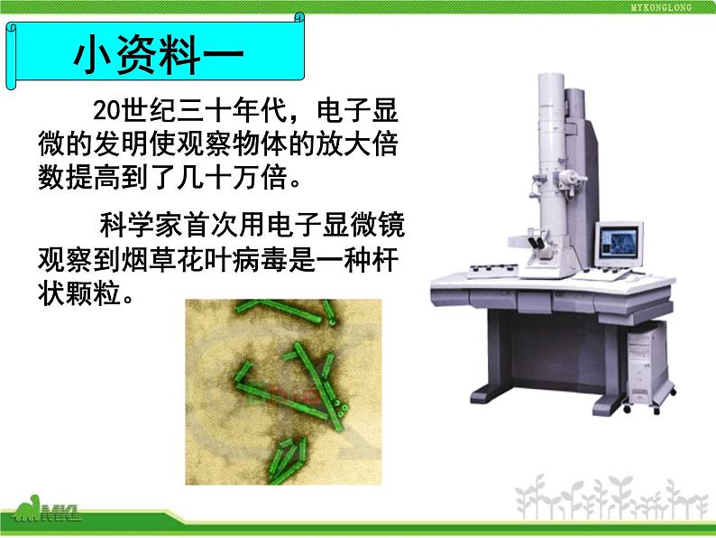人教版八年级生物上册 5.5 病毒 课件第7页