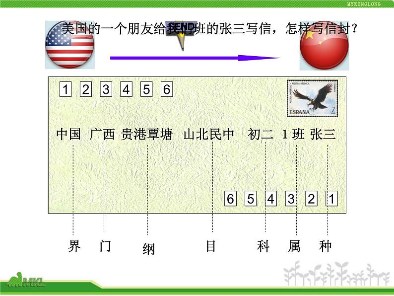 人教版八年级生物上册 6.1.2 从种到界 课件第7页