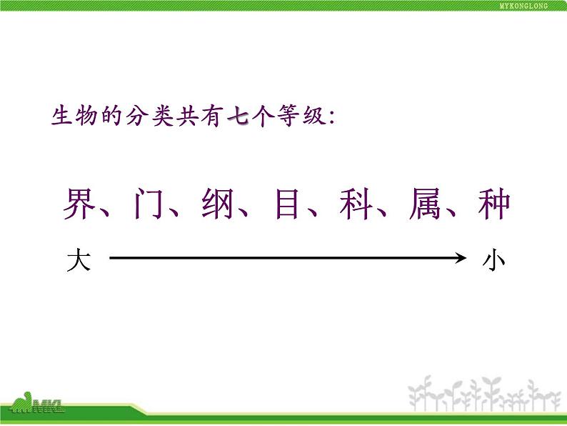 人教版八年级生物上册 6.1.2 从种到界 课件第8页