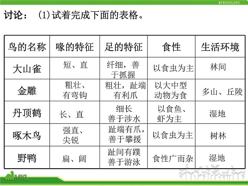 人教版八年级生物上册 5.1.6 鸟 课件03