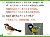人教版八年级生物上册 5.1.6 鸟 课件