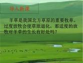 动物在生物圈中的作用PPT课件免费下载