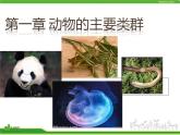 人教版八年级生物上册 5.1.1 腔肠动物和扁形动物 课件