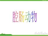 人教版八年级生物上册 5.1.1 腔肠动物和扁形动物 课件