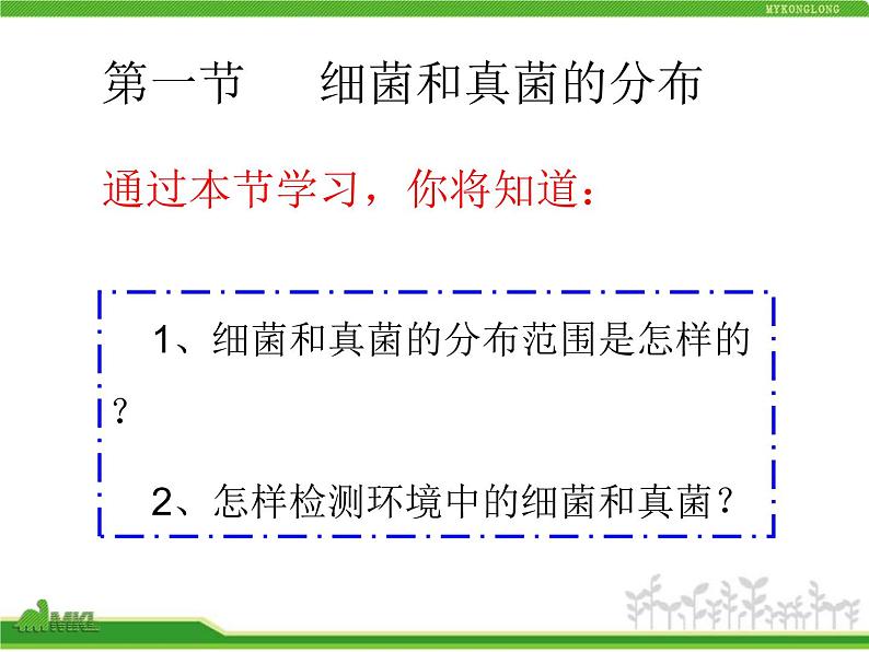 人教版八年级生物上册 5.4.1 细菌和真菌的分布 课件第5页