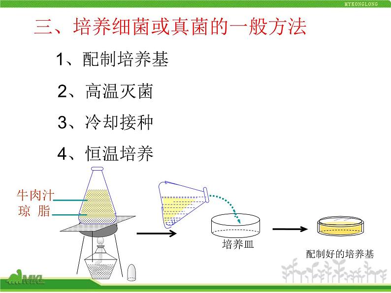 人教版八年级生物上册 5.4.1 细菌和真菌的分布 课件第7页