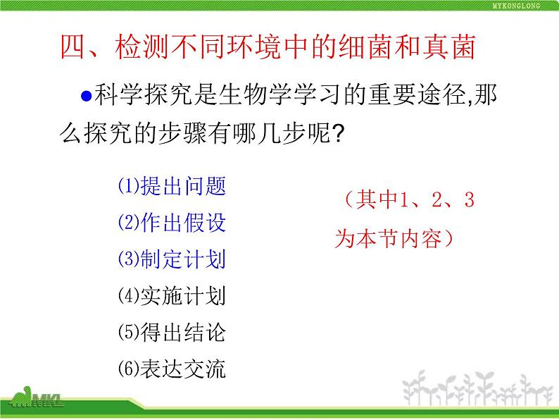 人教版八年级生物上册 5.4.1 细菌和真菌的分布 课件第8页