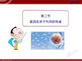 初中生物多媒体教学课件：第7单元 第2章 第2节 基因在亲子代间的传递（人教版八年级下册）