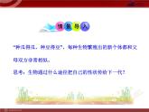 初中生物多媒体教学课件：第7单元 第2章 第2节 基因在亲子代间的传递（人教版八年级下册）