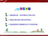 初中生物多媒体教学课件：第7单元 第2章 第2节 基因在亲子代间的传递（人教版八年级下册）
