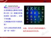 初中生物多媒体教学课件：第7单元 第2章 第2节 基因在亲子代间的传递（人教版八年级下册）