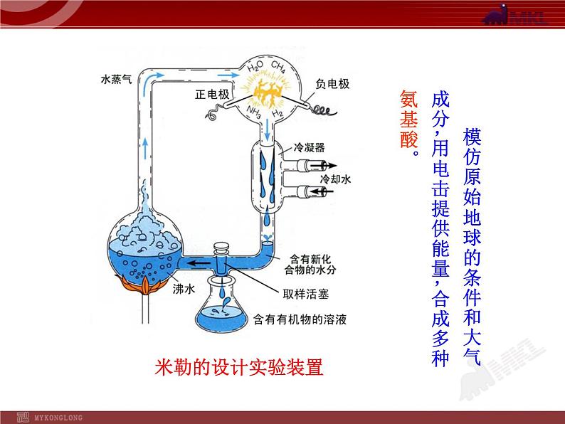 初中生物多媒体教学课件：第7单元 第3章 第1节 地球上生命的起源（人教版八年级下册）08