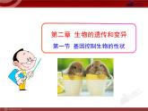 初中生物多媒体教学课件：第7单元 第2章 第1节 基因控制生物的性状（人教版八年级下册）
