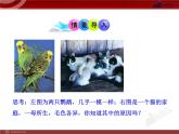 初中生物多媒体教学课件：第7单元 第2章 第1节 基因控制生物的性状（人教版八年级下册）