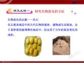 初中生物多媒体教学课件：第7单元 第3章 第2节 生物进化的历程（人教版八年级下册）