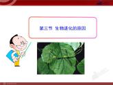 初中生物多媒体教学课件：第7单元 第3章 第3节 生物进化的原因（人教版八年级下册）