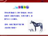 初中生物多媒体教学课件：第7单元 第3章 第3节 生物进化的原因（人教版八年级下册）
