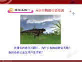 初中生物多媒体教学课件：第7单元 第3章 第3节 生物进化的原因（人教版八年级下册）