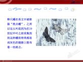 初中生物多媒体教学课件：第7单元 第3章 第3节 生物进化的原因（人教版八年级下册）