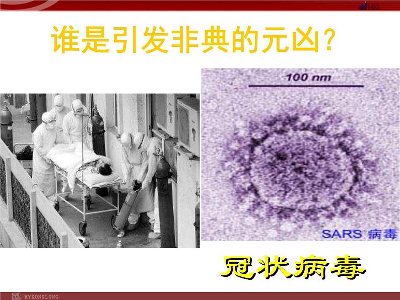 人教版八年级下册 生物：8.1.1 传染病及其预防课件 课件第6页