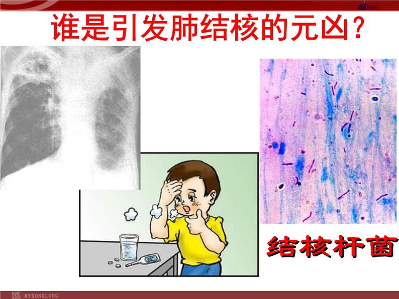 人教版八年级下册 生物：8.1.1 传染病及其预防课件 课件第8页