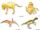 人教版八年级下册 生物：7.3.2 生物进化的历程  课件