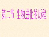 人教版八年级下册 生物：7.3.2 生物进化的历程  课件