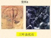 人教版八年级下册 生物：7.3.2 生物进化的历程  课件