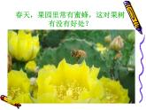 人教版八年级下册 生物：7.1.1 植物的生殖和发育 课件
