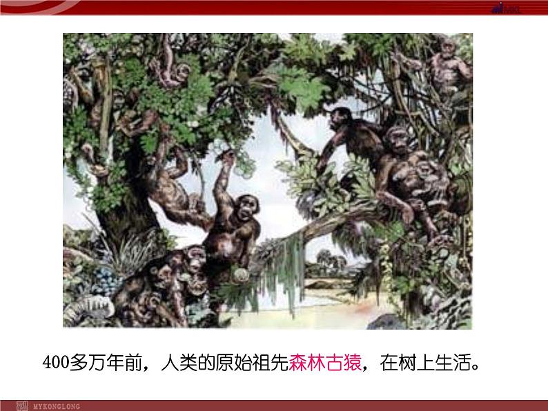 人教版八年级下册 生物：7.3.1 地球上生命的起源 课件 课件02