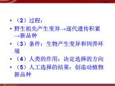 人教版八年级下册 生物：7.3.3 生物进化的原因 课件 课件