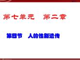 人教版八年级下册 生物：7.2.4 人的性别遗传 课件 课件