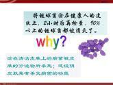 人教版八年级下册 生物：8.1.2 免疫与计划免疫 课件 课件