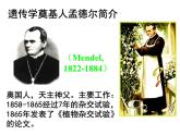 人教版八年级下册 生物：7.2.3 基因的显性和隐性 课件 课件