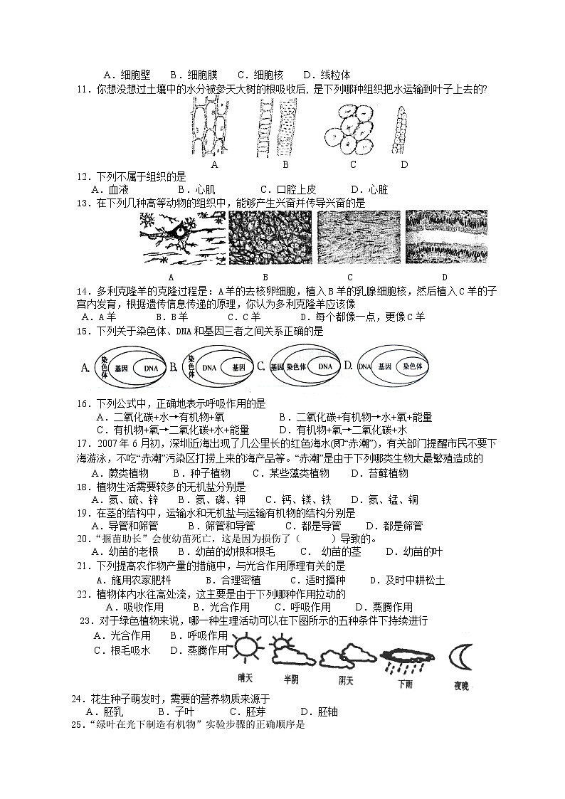 人教版七年级上册生物期末考试练习题第2页