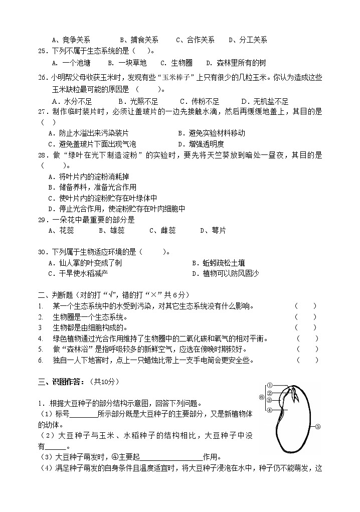 新人教版七年级生物上期末考试卷及答案03