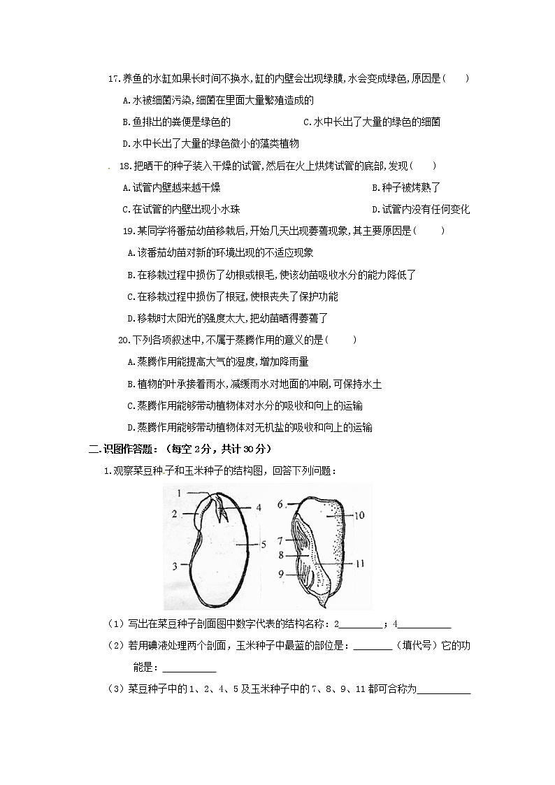 人教版七年级生物上册期末试题及答案最新版本第3页