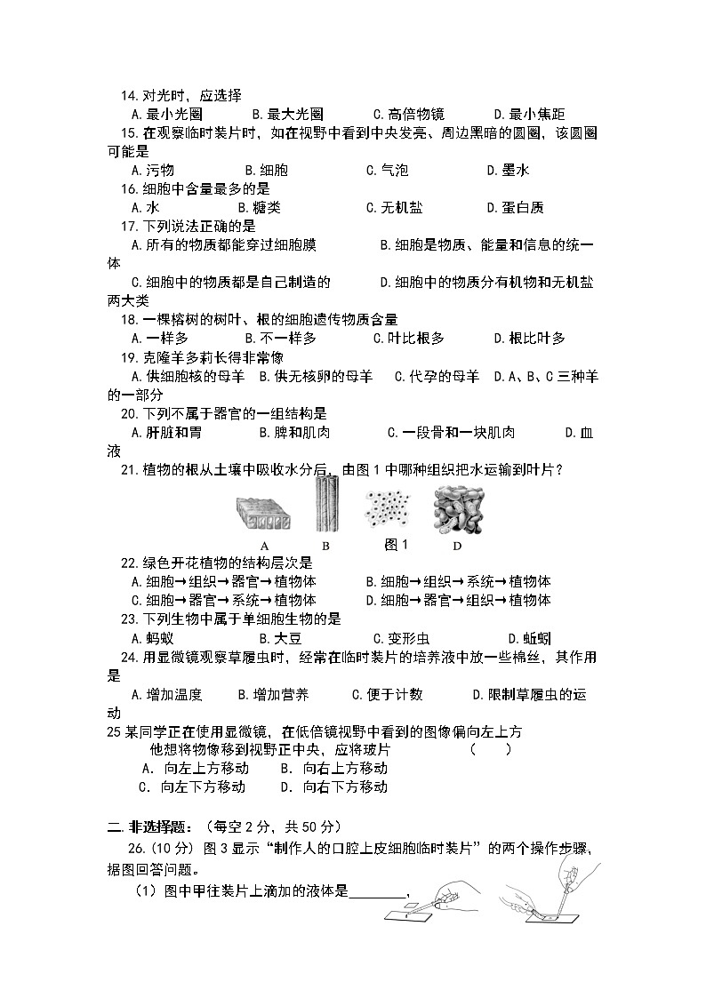 人教版七年级生物上册期中考试卷及答案02