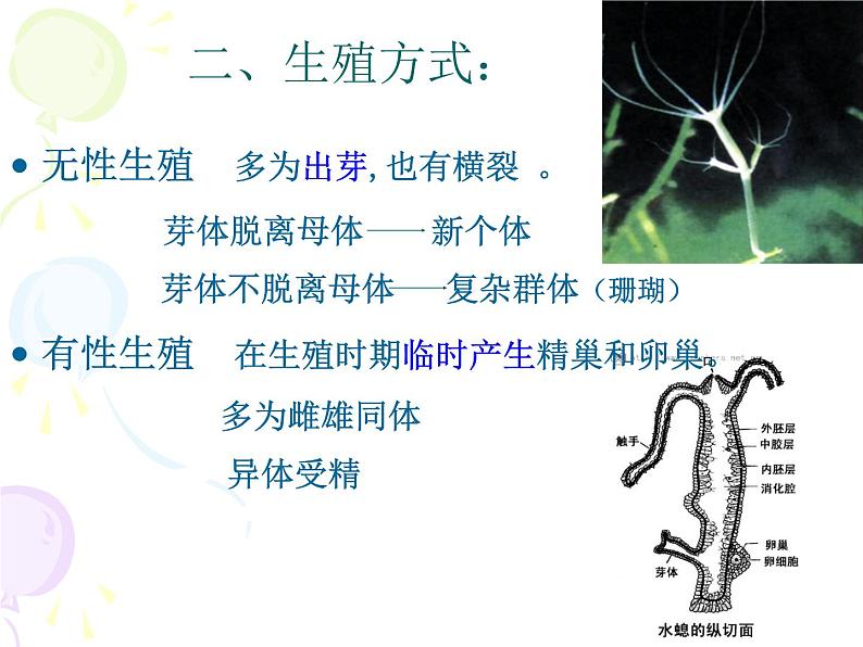 新人教版八年级生物期末复习课件PPT第5页