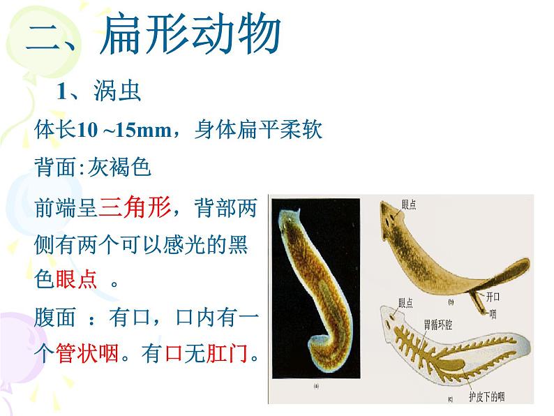 新人教版八年级生物期末复习课件PPT第7页