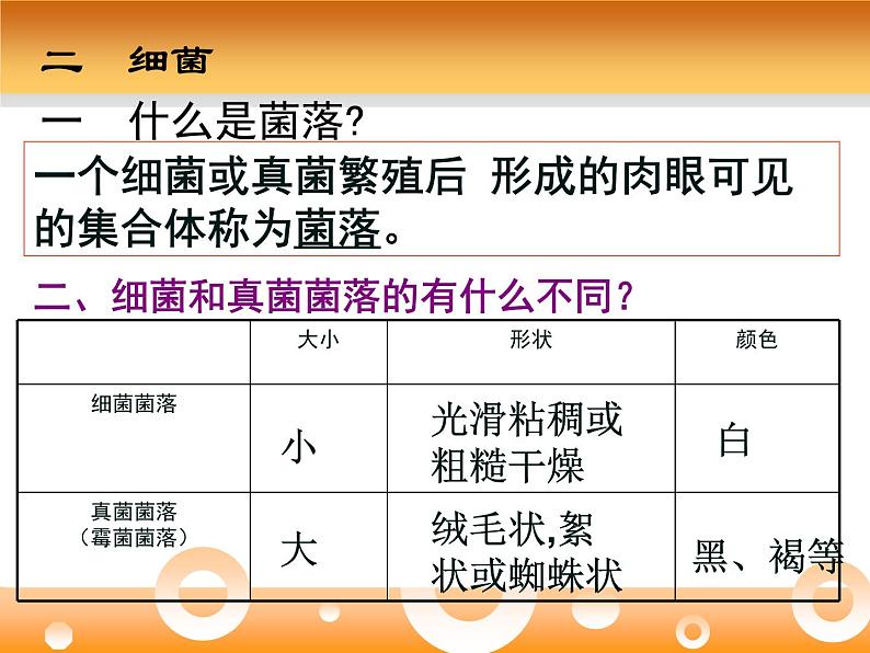 生物八年级上册期末复习课件PPT第7页