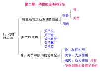 八年级上册生物期末复习提纲_初二生物ppt课件