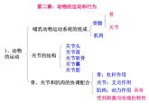 八年级上册生物期末复习提纲_初二生物ppt课件