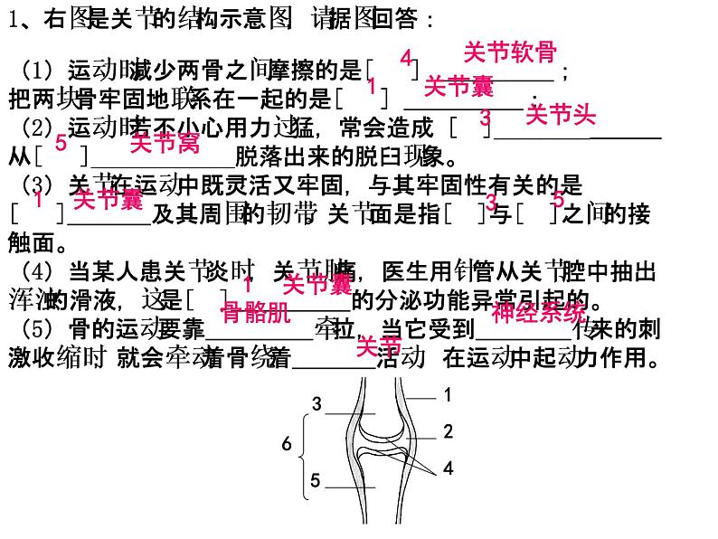 八年级上册生物期末复习提纲_初二生物ppt课件06