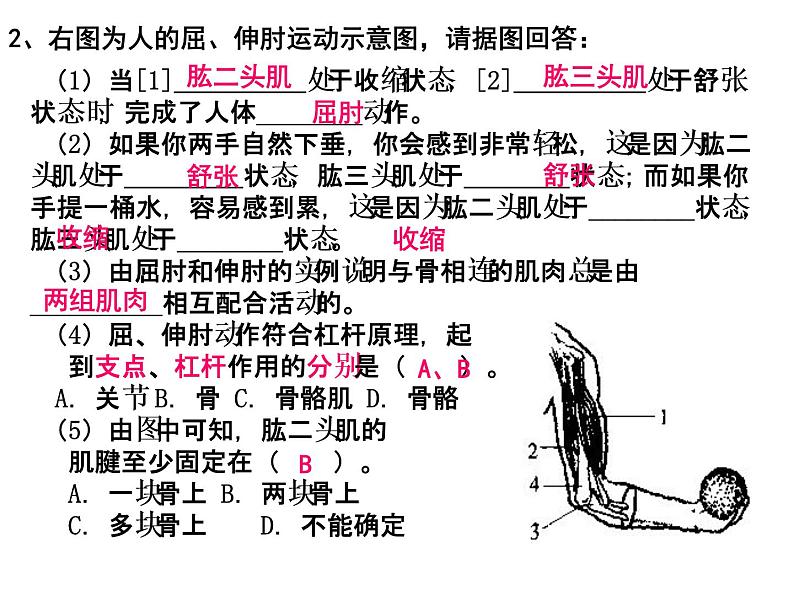 八年级上册生物期末复习提纲_初二生物ppt课件07