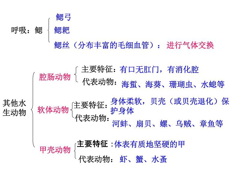 八年级上册生物期末复习提纲_初二生物ppt课件 (1)第2页