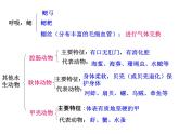 八年级上册生物期末复习提纲_初二生物ppt课件 (1)