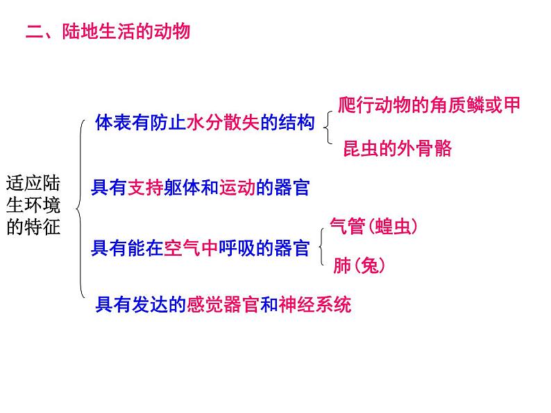 八年级上册生物期末复习提纲_初二生物ppt课件 (1)第4页